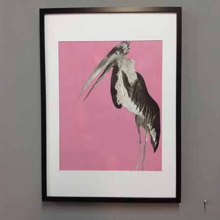 The Pink Heron