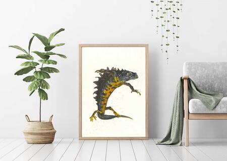 newt giclee print