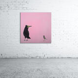 The sparrow and the raven