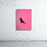 Christian the Rook in the Sun