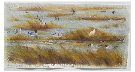 Birds at High Tide, Arne, Dorset