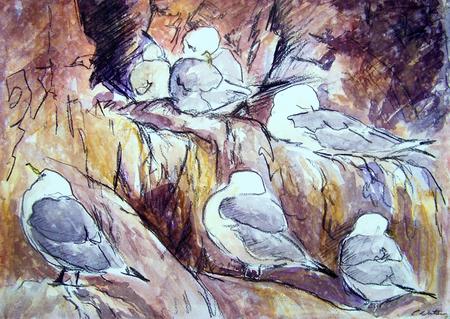 Kittiwakes at Dunbar