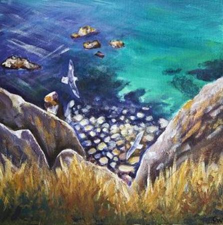 Fulmars, Telegraph Bay - Alderney