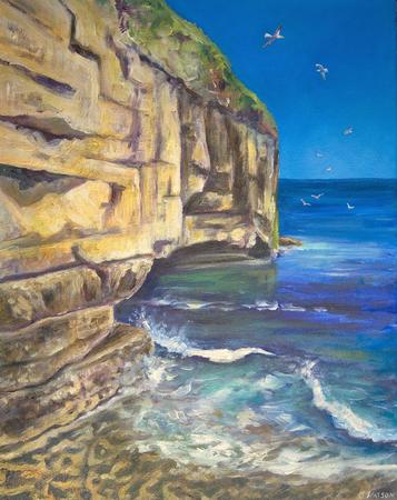 Dancing Ledge, Dorset