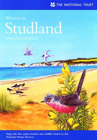 Studland Leaflet