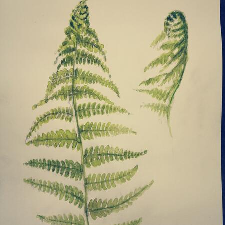 Fern