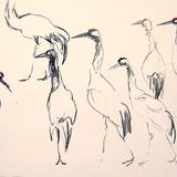Red Crowned Cranes