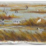 Birds at High Tide, Arne, Dorset