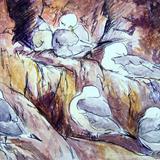 Kittiwakes at Dunbar