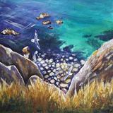 Fulmars, Telegraph Bay - Alderney