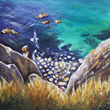 Fulmars, Alderney - The Channel Islands