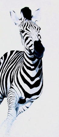 Running Zebra