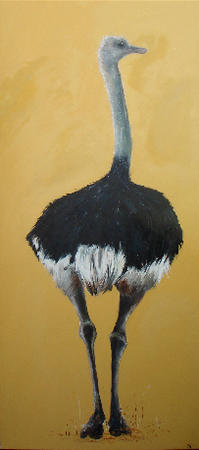 Ostrich