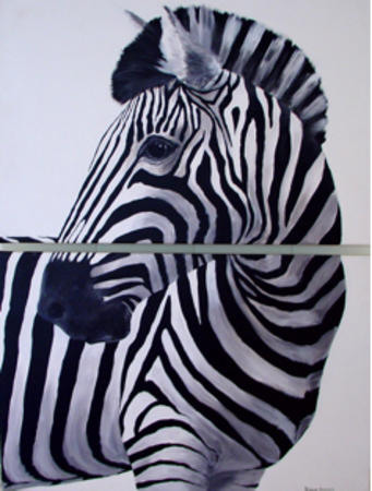 Zebra
