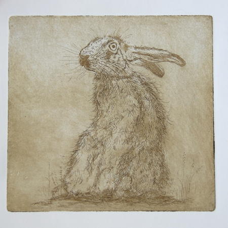 Startled Hare 
