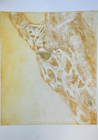 Giraffe in Indian Yellow