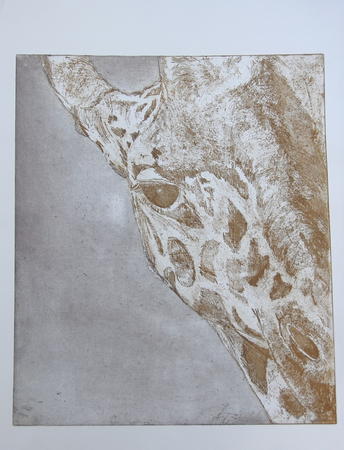 Giraffe in black and sepia