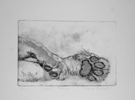 Lion's Paws