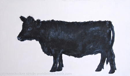 Black Dexter - For Sale 