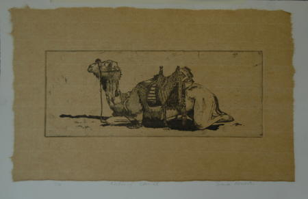 Resting Camel 