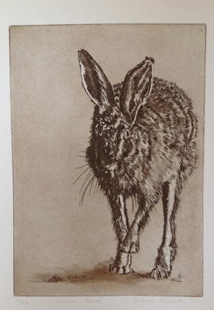March Hare