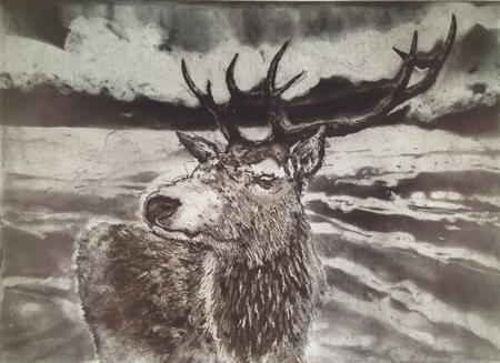 Stag II