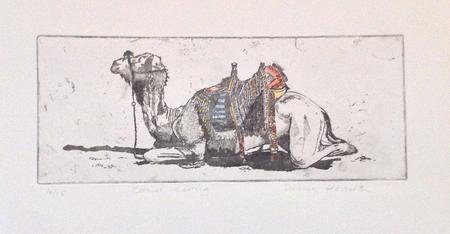 Resting Camel