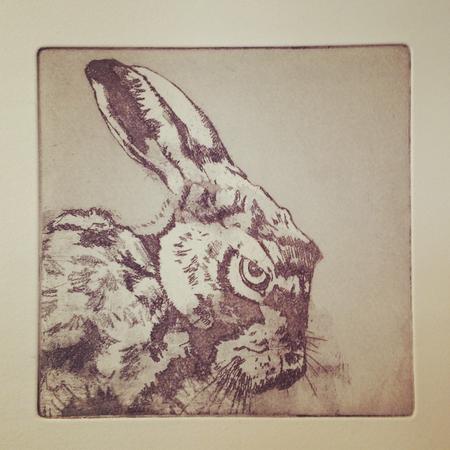  Hare II