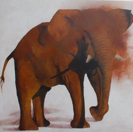 Dusty Elephant