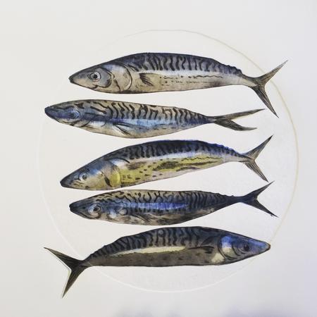 Five Mackerel