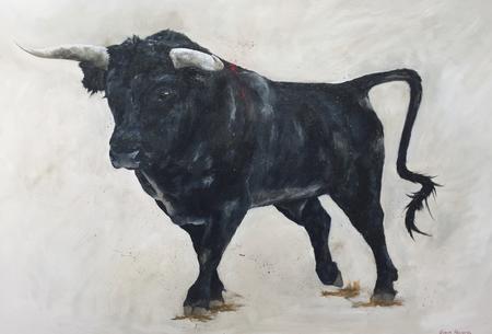 Spanish Bull