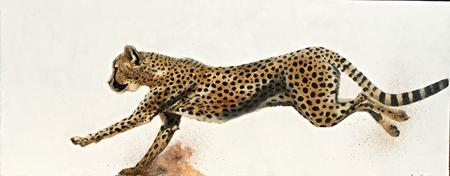 Running Cheetah