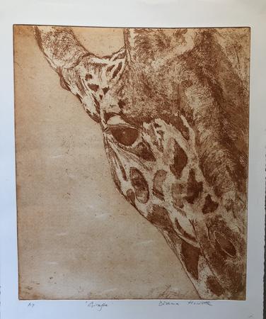 Giraffe - Burnt Umber