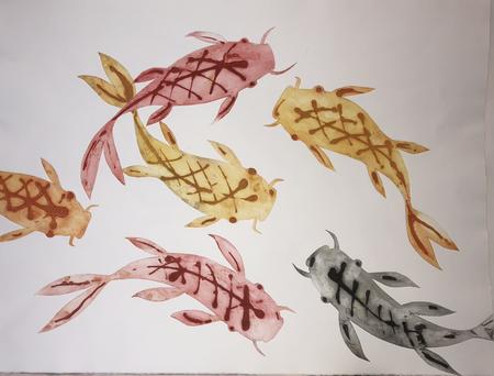 Koi Carp