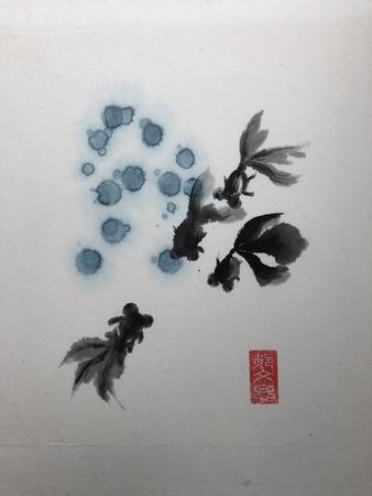 Chinese Black Goldfish 