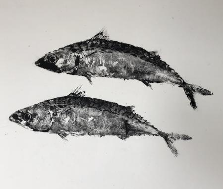 Two Mackerel