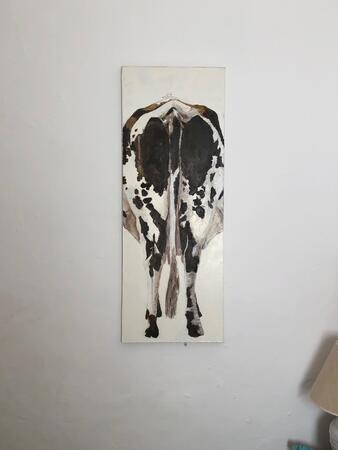 Belgian Cow