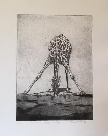 Bending Down to Drink