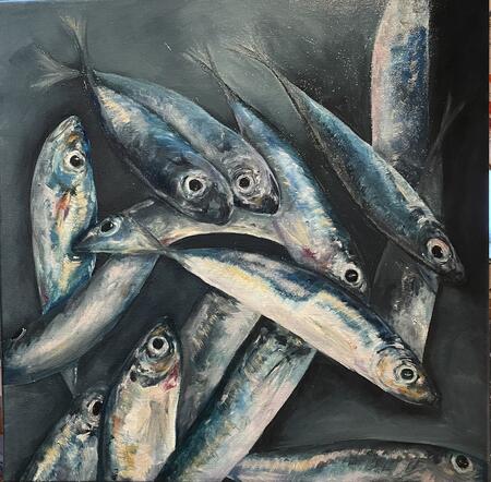 Scad - Mackerel