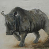 Rhino