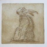 Startled Hare 