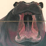 Hippo