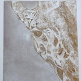 Giraffe in black and sepia
