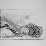 Lion's Paws