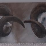 White Faced Woodland Pair - for sale