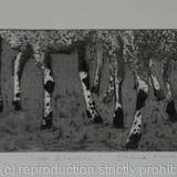 Legs Eleven - Kerry Hill