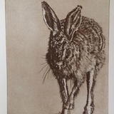 March Hare