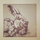 Hare II