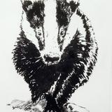 Badger