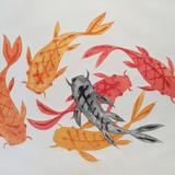 Koi